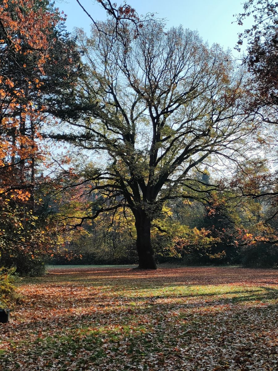 Fotos do tempo em Bekes. Previsões do tempo com lindas fotos de Seva86