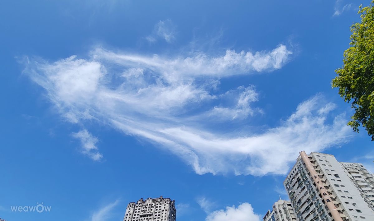 Photographer Tch, Weather Photos in 高雄 - Weawow
