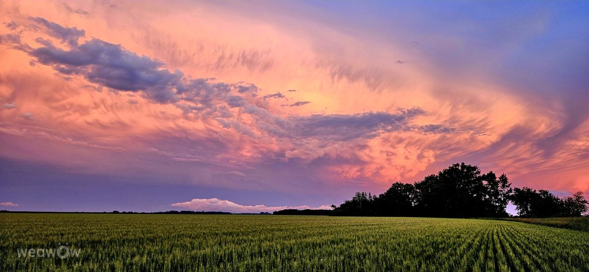 Photographer Jd2024, Weather Photos in Fargo - Weawow