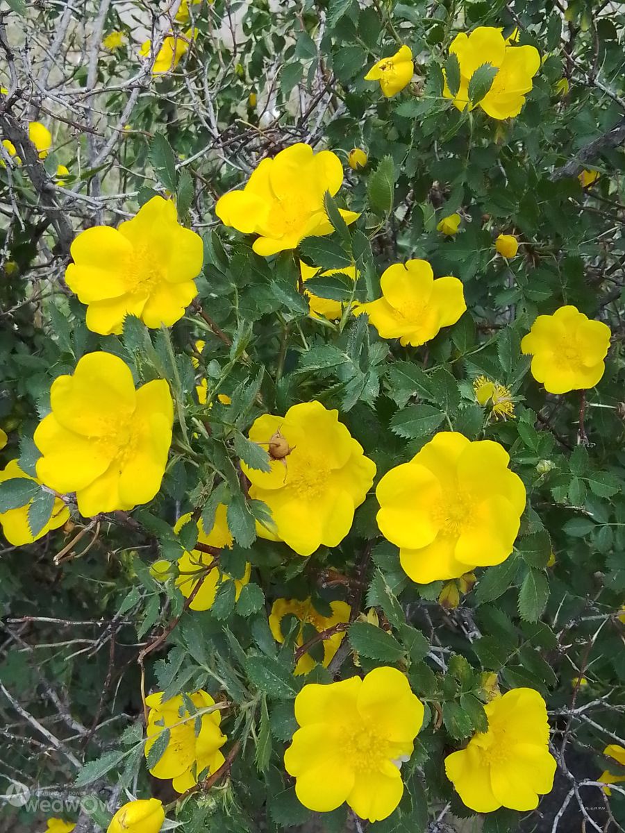 Fotos sobre el clima en Zanjan. Pronósticos del tiempo con hermosas fotos de cumulus