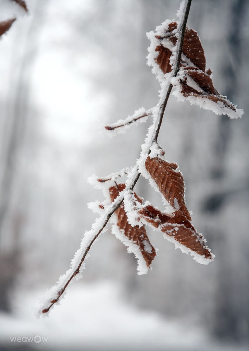 Previsões do tempo com lindas fotos de Paul57