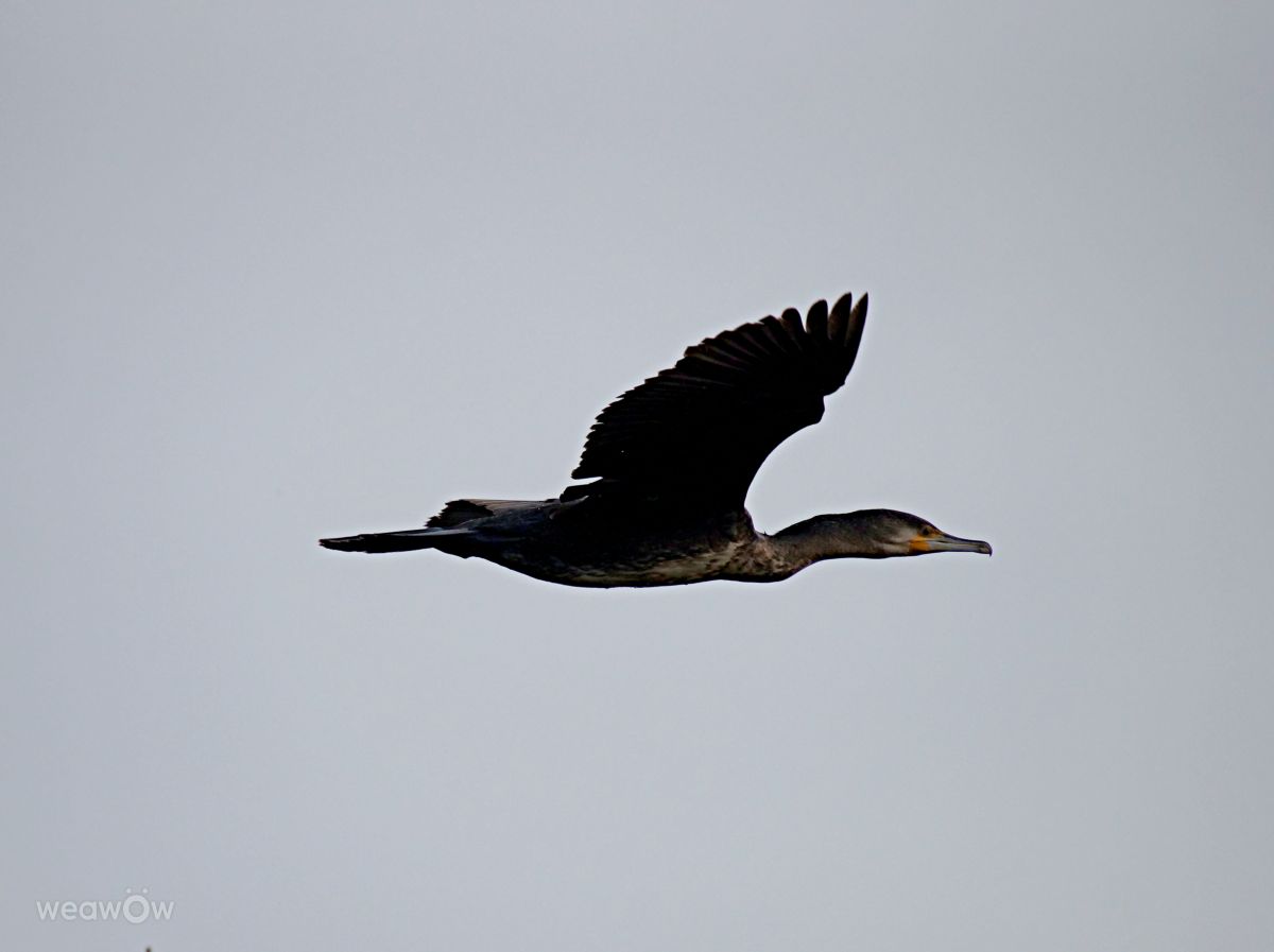 Weather Photos in Calvisson. Weather forecasts with beautiful photos by tony5636