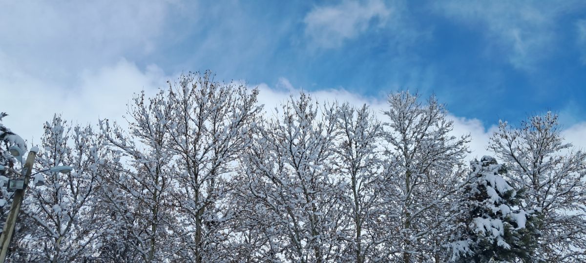 Photos météo à Fars. Prévisions météo avec de superbes photos de Abouzar1365