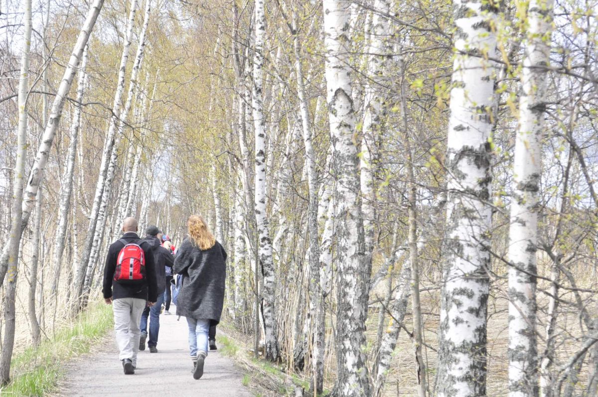 Fotos sobre el clima en Helsinki. Pronósticos del tiempo con hermosas fotos de Nabissco