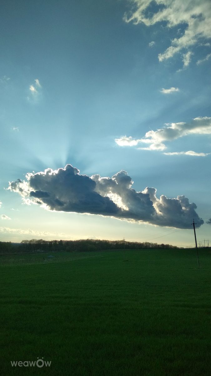 Weather Photos in Bohdanivtsi. Weather forecasts with beautiful photos by urashm