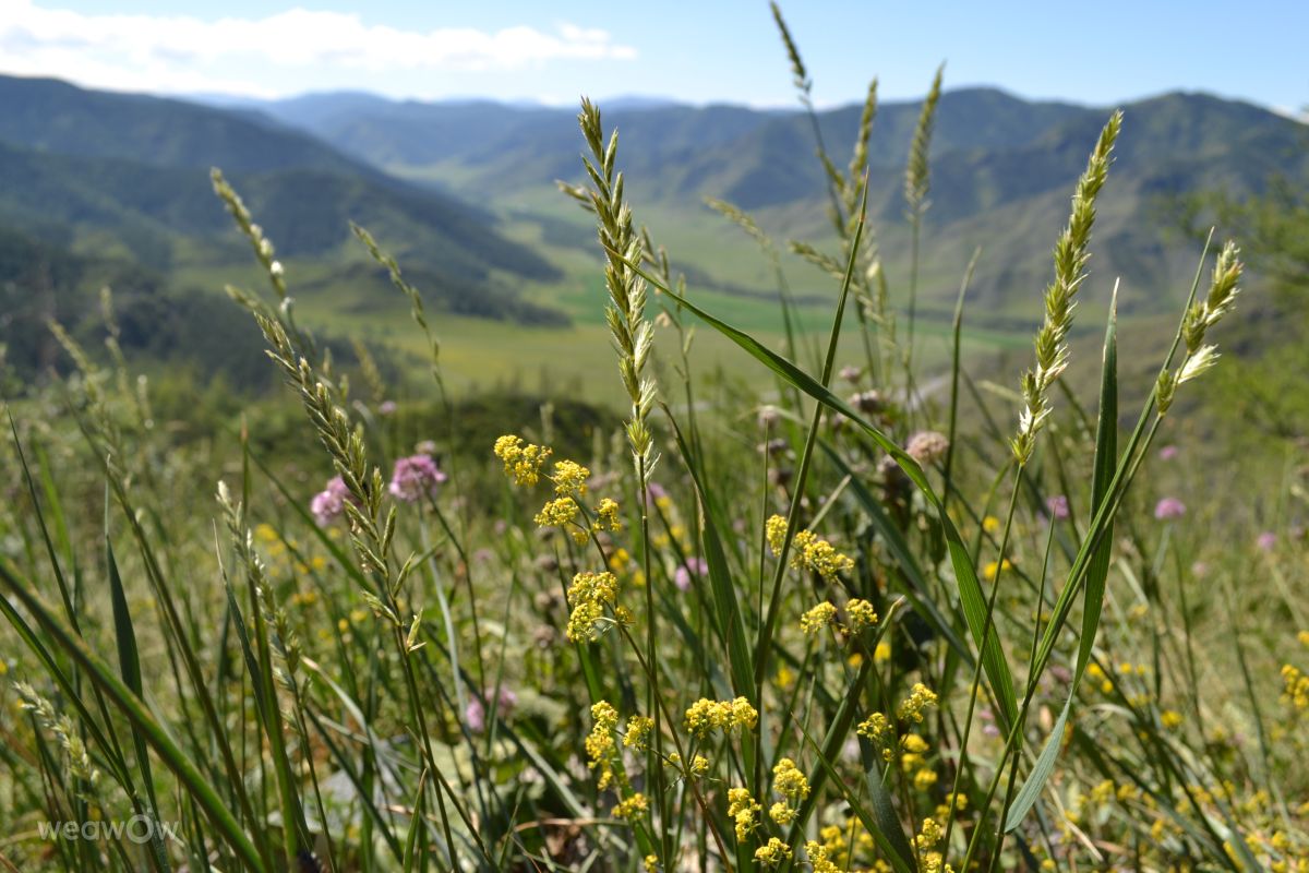 Hình ảnh Thời tiết ở Tomsk. Dự báo thời tiết với những bức ảnh đẹp của Надежда-1979