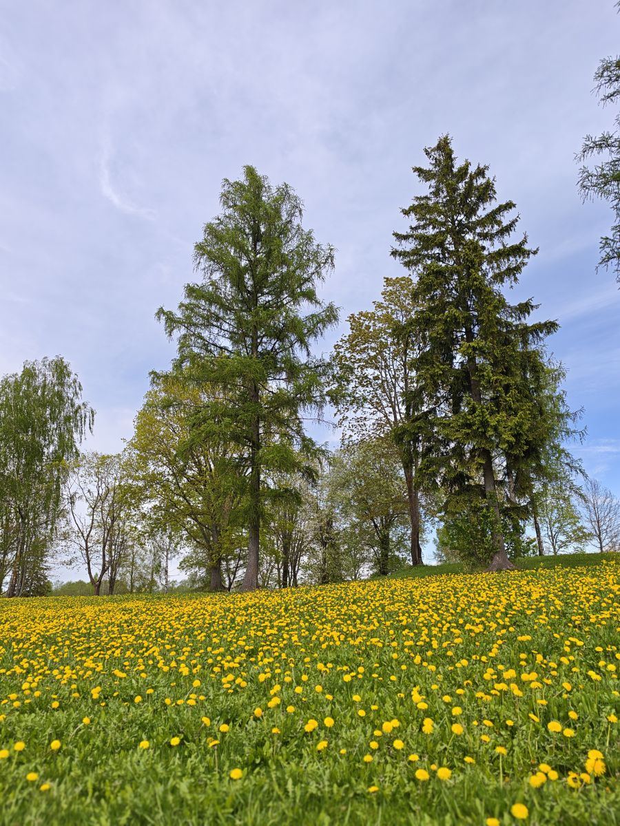 Weather Photos in Rēzekne. Weather forecasts with beautiful photos by nataljkar