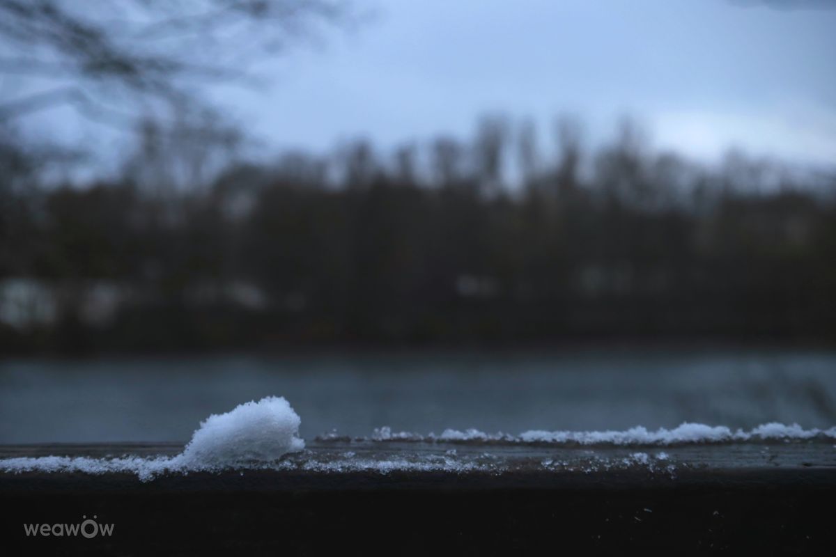 写真家 bello3001、Harpener Teicheの天気写真 - Weawow