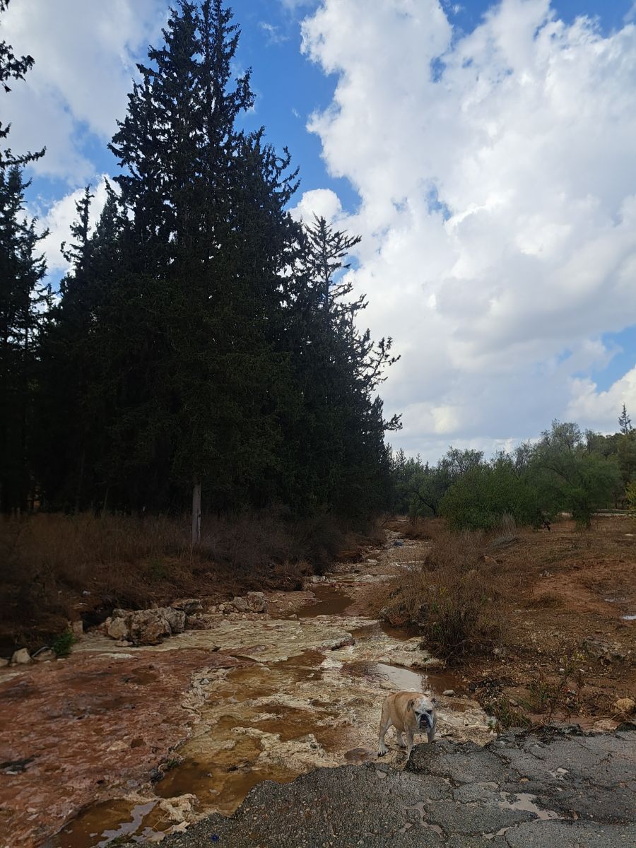 Photos météo à Israël. Prévisions météo avec de superbes photos de Sviatoslav