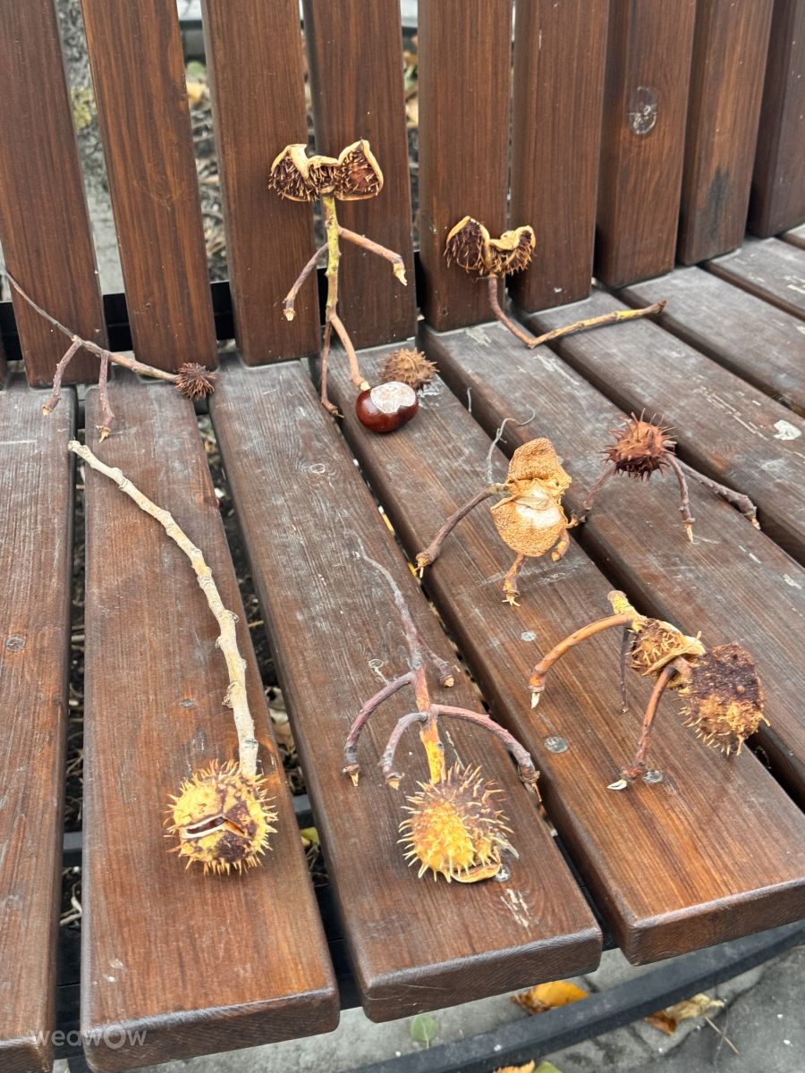 Weather Photos in Moscow. Weather forecasts with beautiful photos by Afonya1981