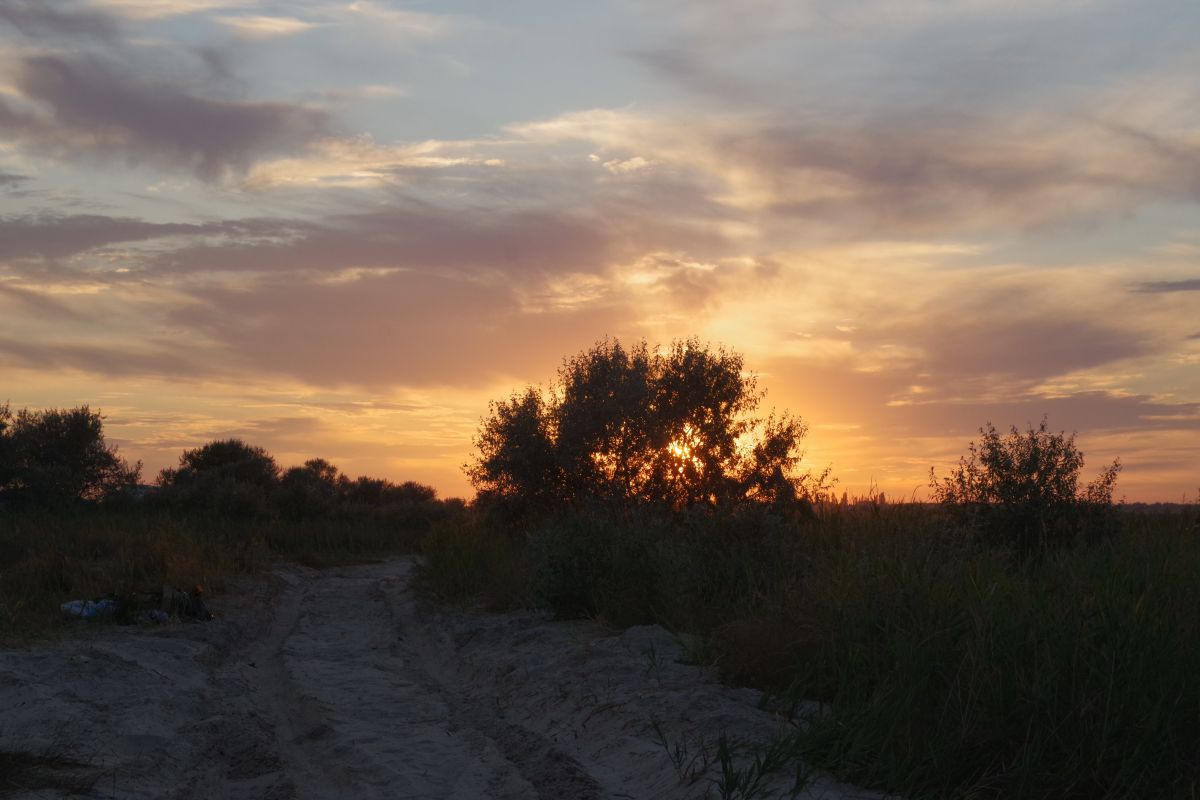Weather Photos in Khersons'ka Oblast'. Weather forecasts with beautiful photos by Saho76