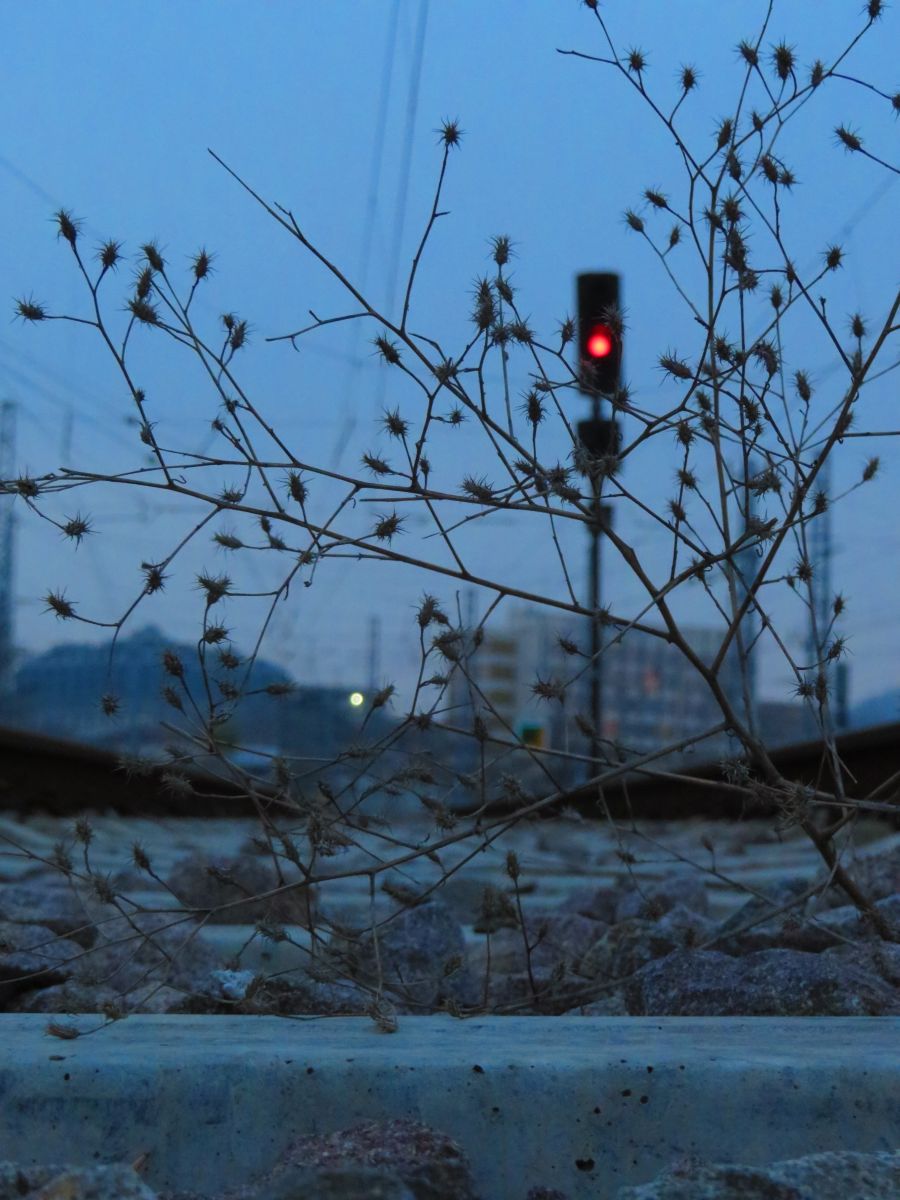 Fotos do tempo em Plovdiv. Previsões do tempo com lindas fotos de Lora_23