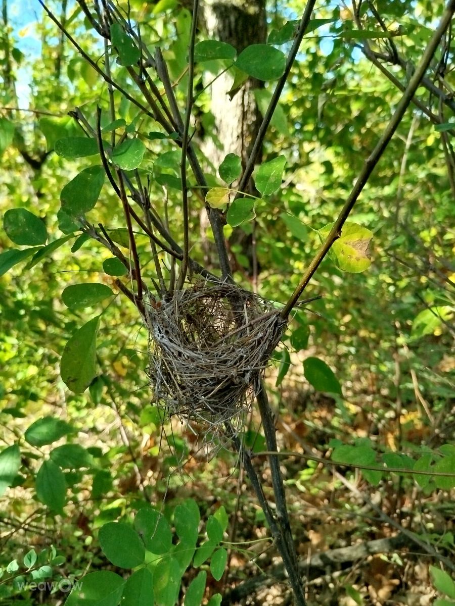 Фотографии Погоды в Кырджали. Прогнозы погоды с чудесными фотографиями, сделанными sezgin_mustafa