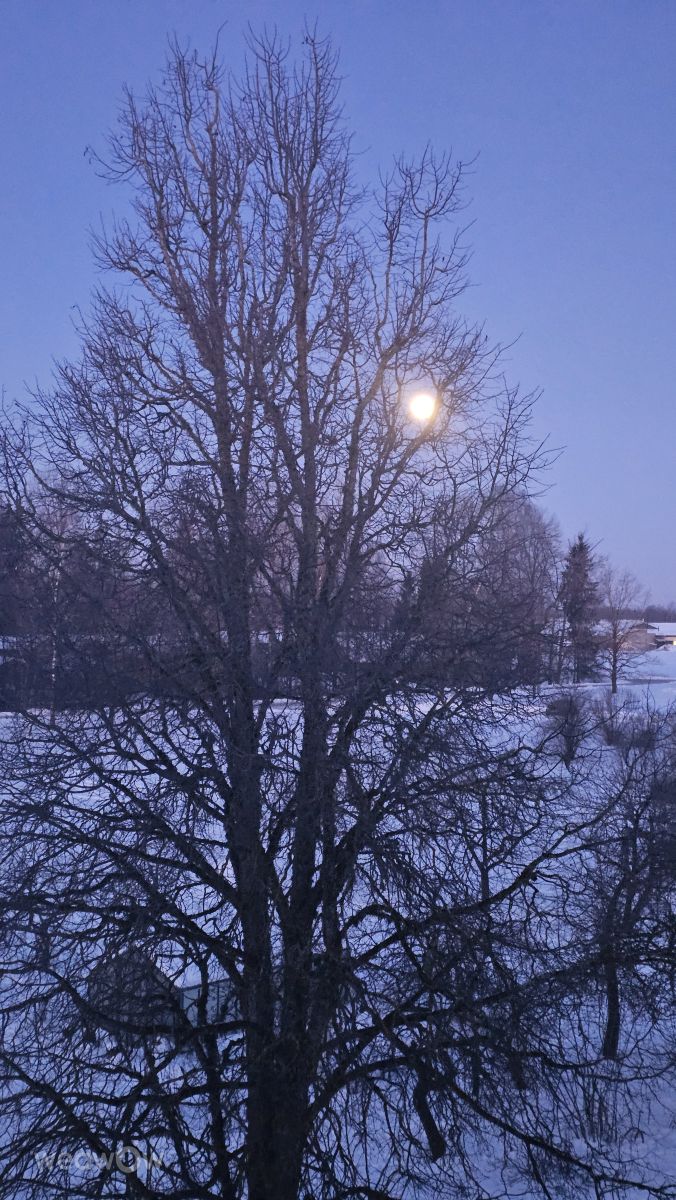 Fotos do tempo em Ogre. Previsões do tempo com lindas fotos de Sandra Bokisha