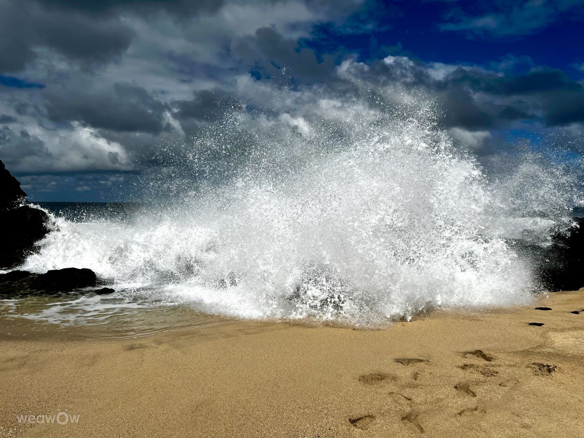 Weather forecasts with beautiful photos by Zema