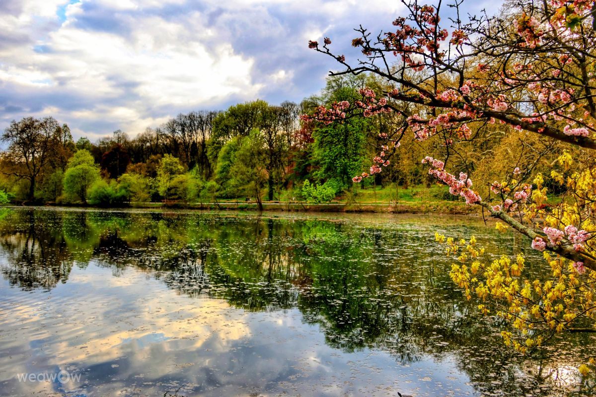 Weather Photos in Rombergpark-Lücklemberg. Weather forecasts with beautiful photos by Lotti5507