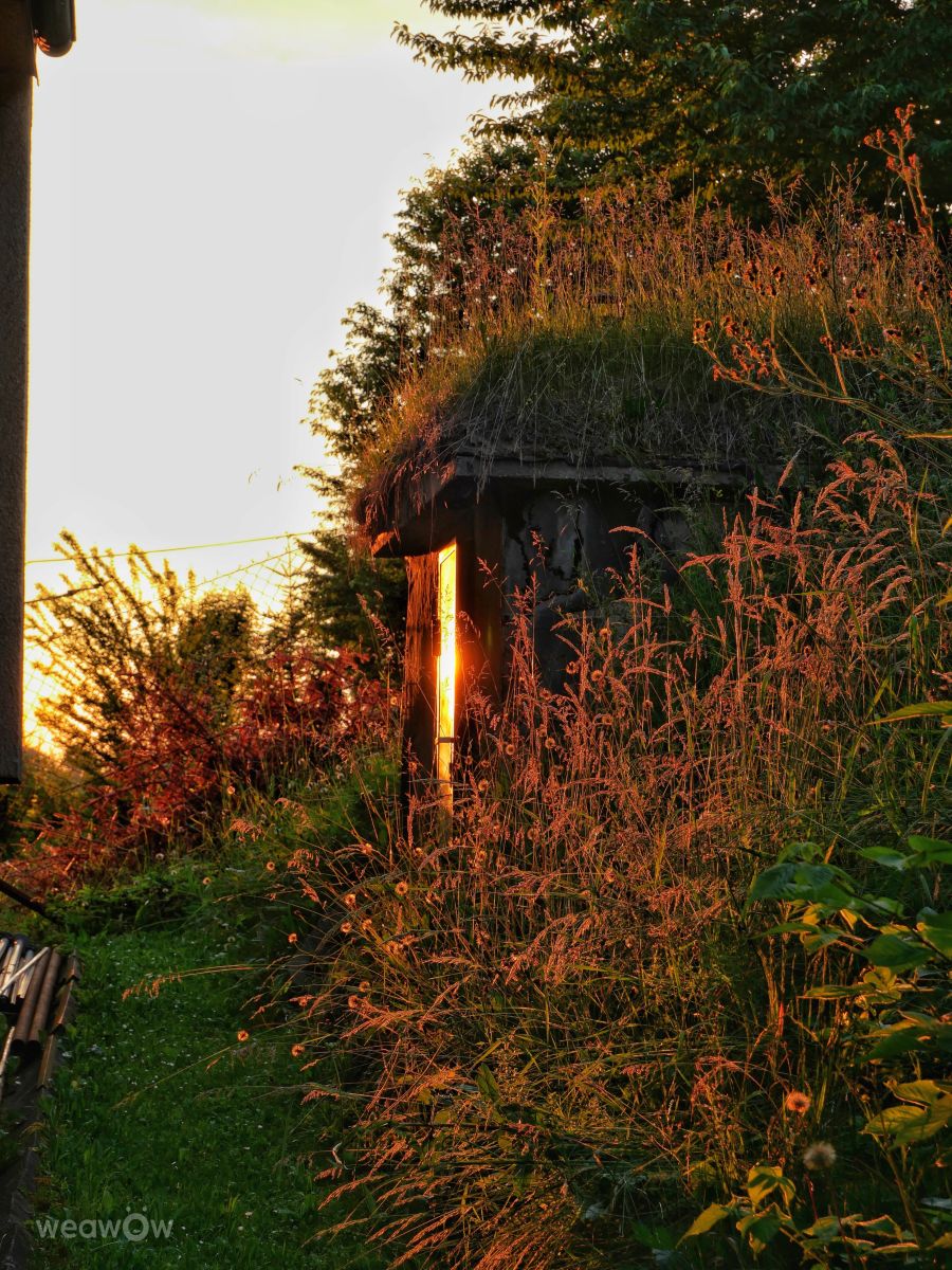 Weather Photos in Višňové. Weather forecasts with beautiful photos by _richardd
