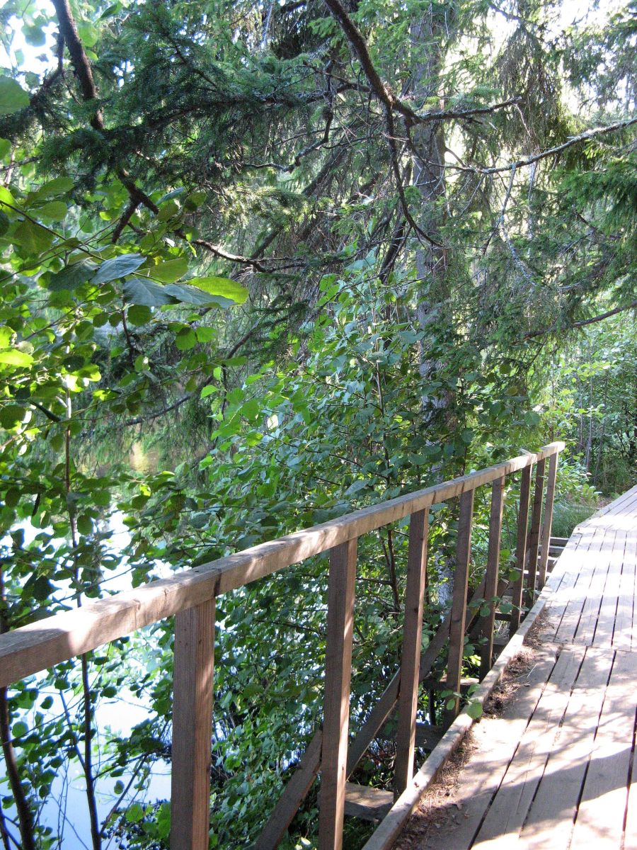 Fotos sobre el clima en Republic of Karelia. Pronósticos del tiempo con hermosas fotos de 19Lora46