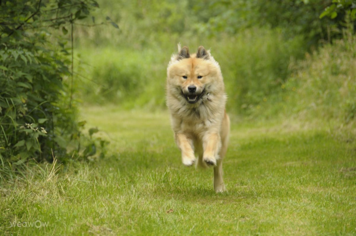 Photographer RudiRakete, Weather Photos in Schleswig-Holstein - Weawow
