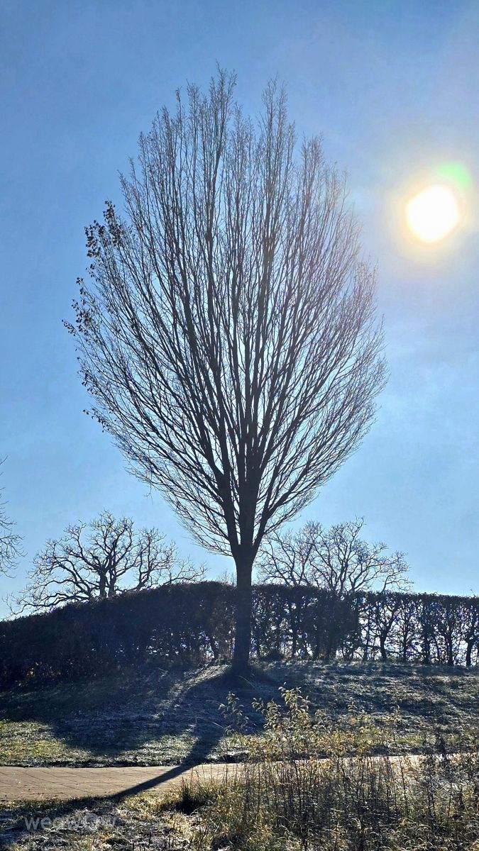 Weather Photos in Bavaria. Weather forecasts with beautiful photos by Hela