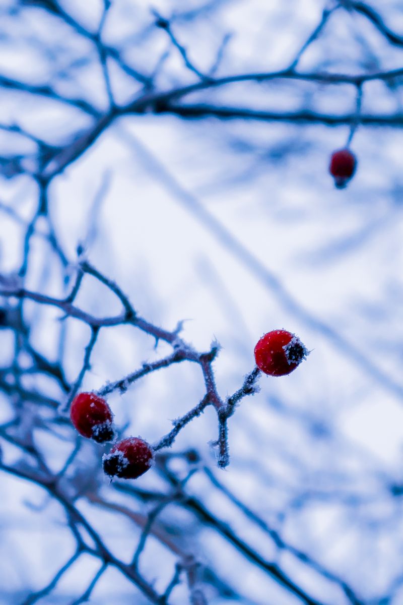 Weather Photos in Rychvald. Weather forecasts with beautiful photos by _feela