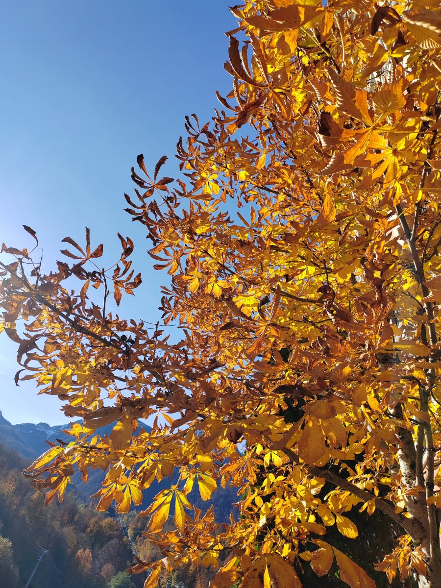Photos météo à Roza Khutor. Prévisions météo avec de superbes photos de Albert_Smelovtsev