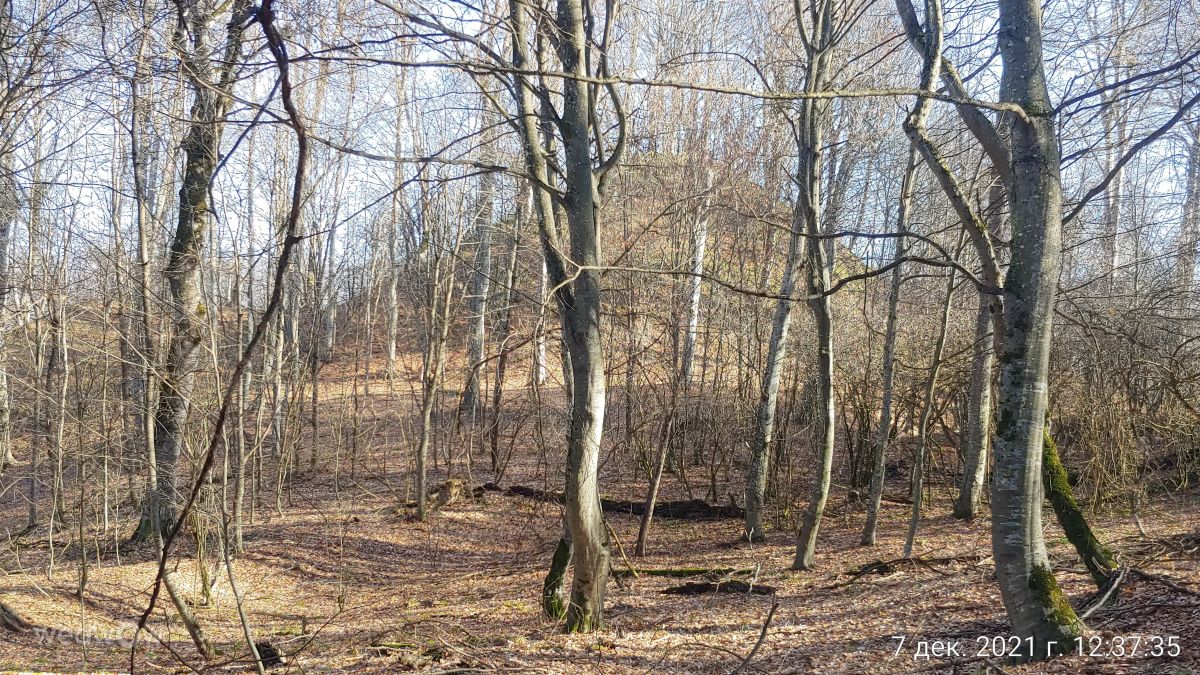 Chechnya的天气照片. 天气预报，带magaregita精美的照片