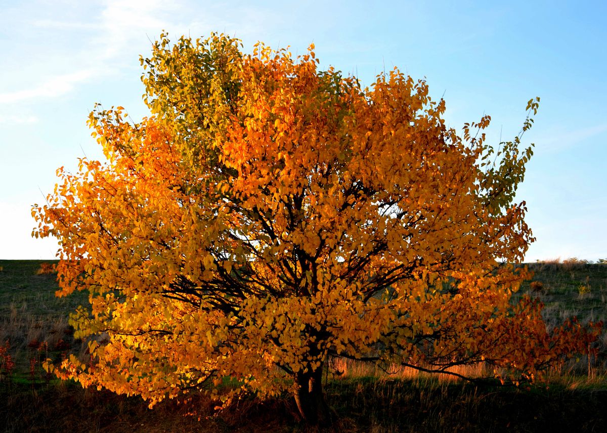 Dự báo thời tiết với những bức ảnh đẹp của ConstantinR