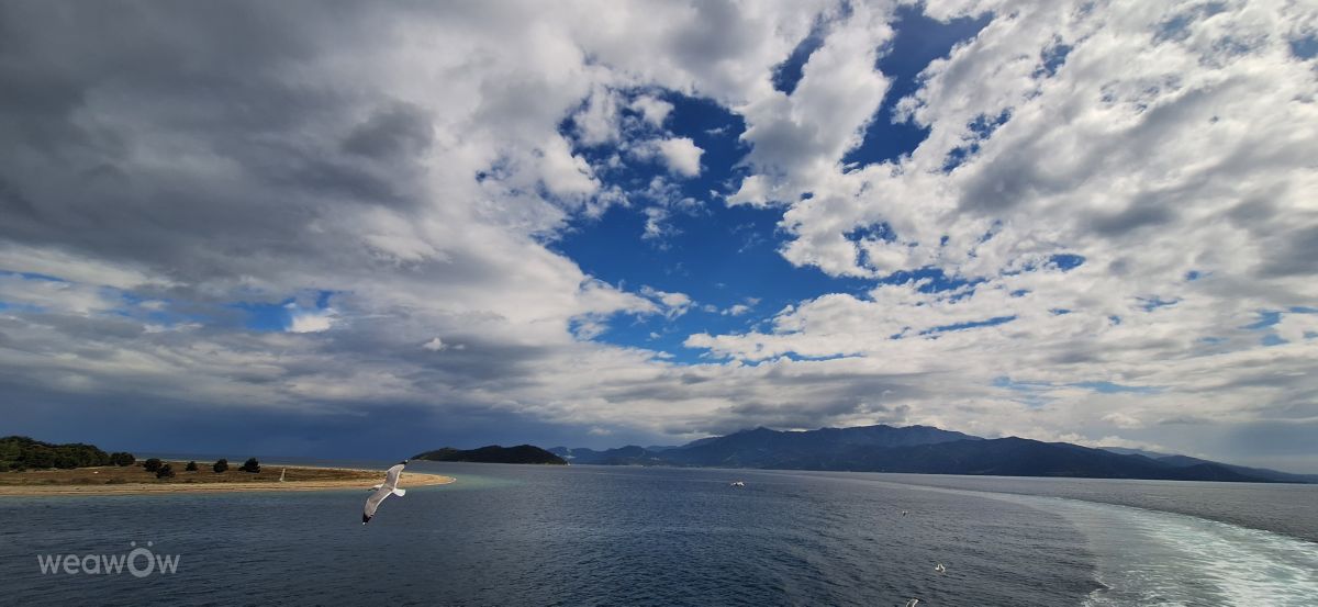 Wettervorhersagen mit schönen Fotos von Snejana Stefanova