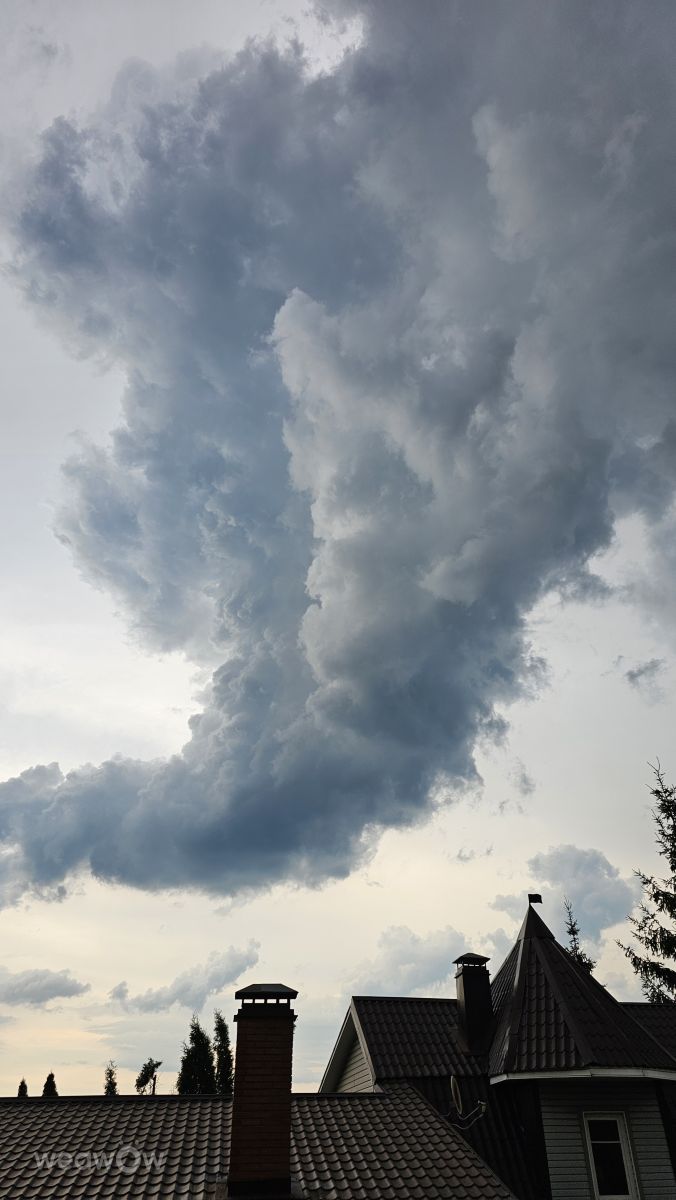 Fotos sobre el clima en Yakhroma. Pronósticos del tiempo con hermosas fotos de Stroganov_4