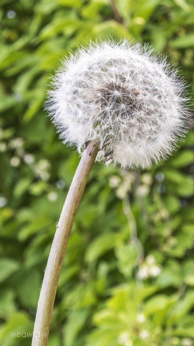 Photographer G_3233, Weather Photos in Gorod Vladivostok - Weawow