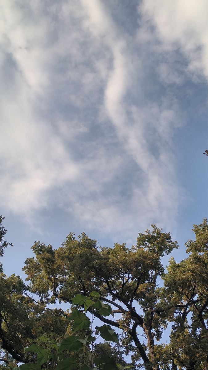 ルーマニアの天気写真. YanBogの美しい写真による天気予報