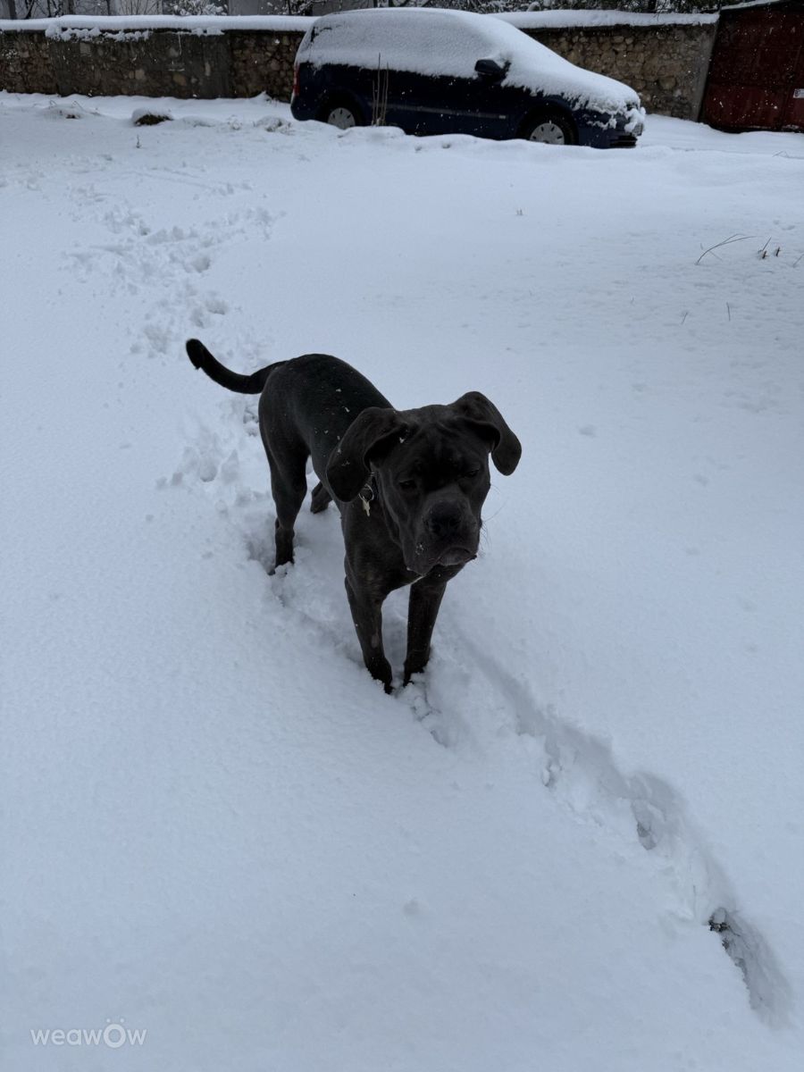 Фотографии Погоды в Radomir. Прогнозы погоды с чудесными фотографиями, сделанными Мирославa