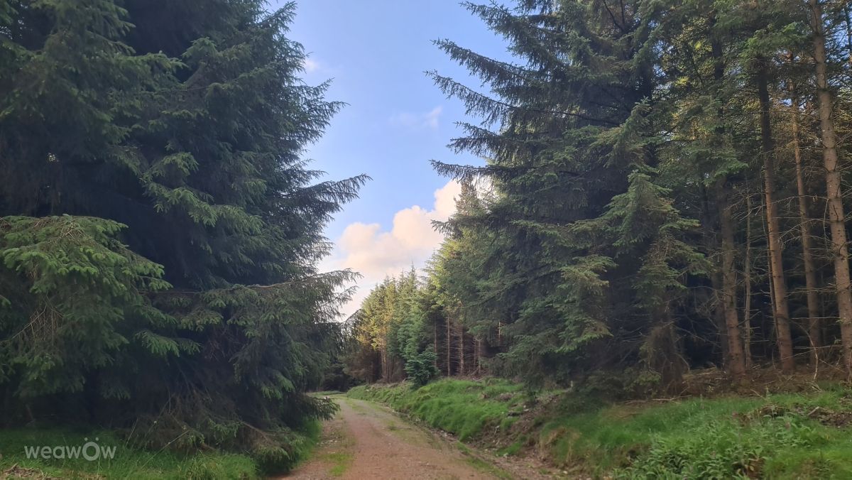 Weather Photos in Ireland. Weather forecasts with beautiful photos by Giz