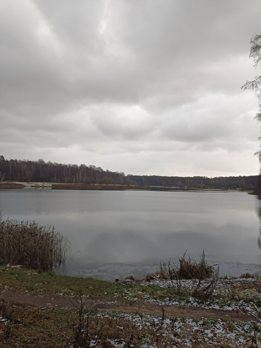 Photographer Amanda_and_Valdemar_Che, Weather Photos in Izmaylovo District - Weawow