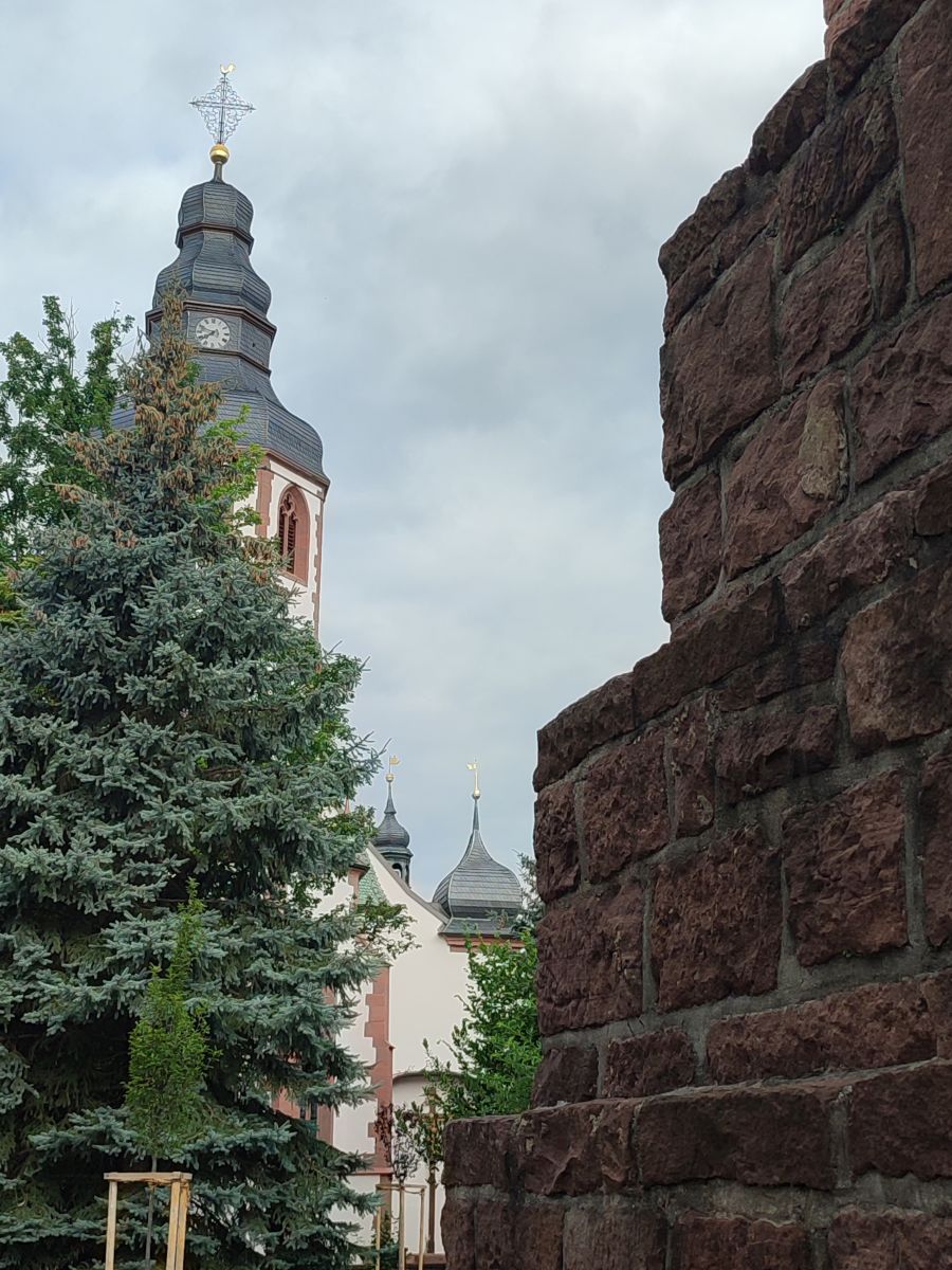 Photographer Tercis, Weather Photos in Ettlingen - Weawow