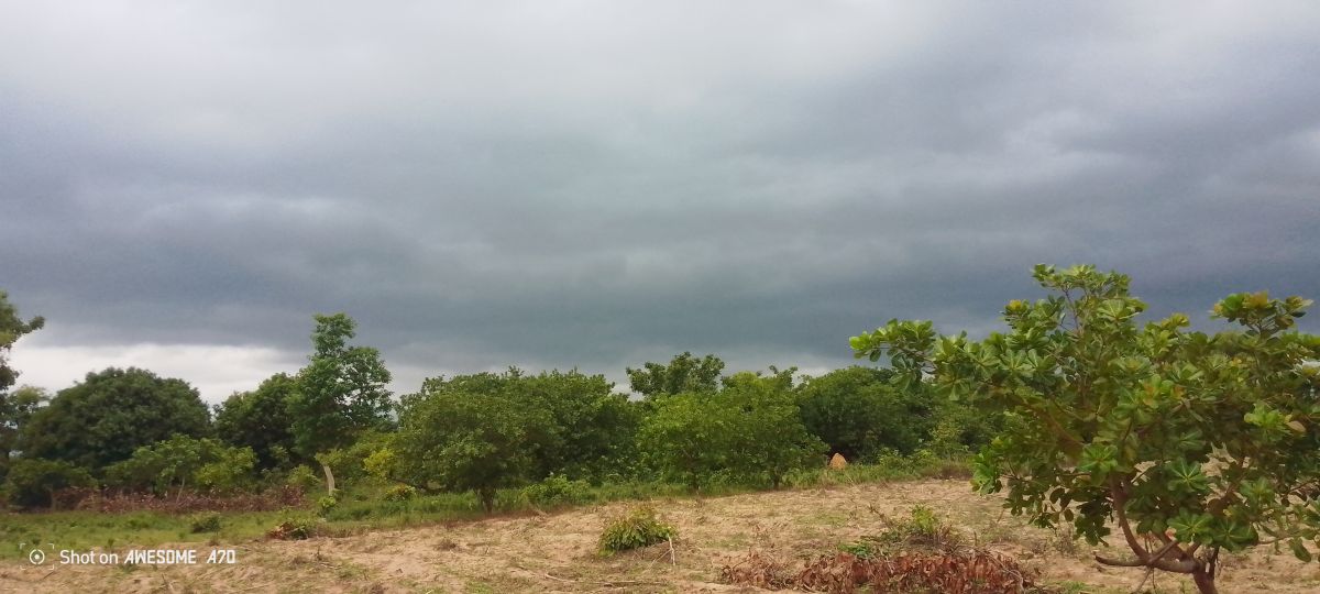 Weather Photos in Benin. Weather forecasts with beautiful photos by Yante61