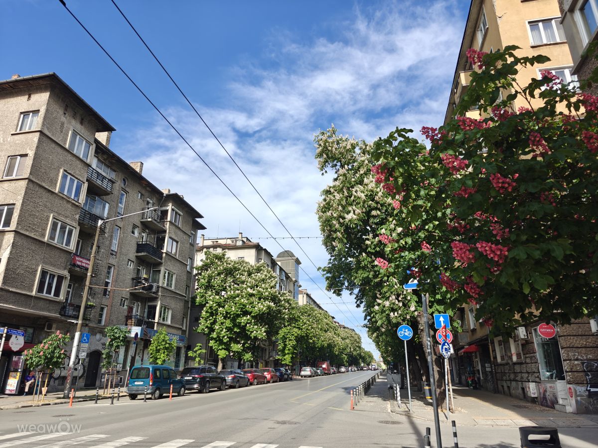 Weather Photos in Sofia-Capital. Weather forecasts with beautiful photos by Rosiii