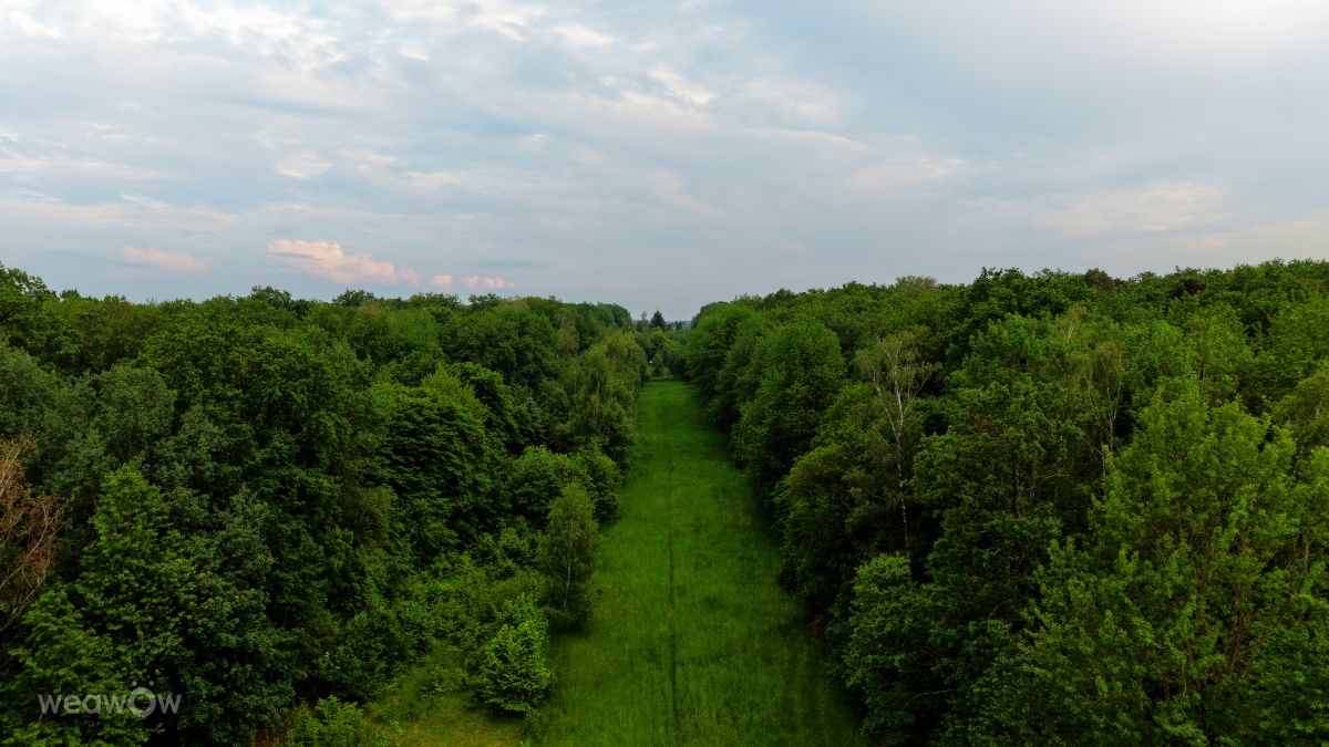 Weather Photos in Świdnik. Weather forecasts with beautiful photos by N1etoper