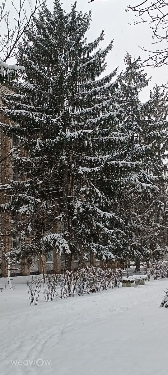 Weather Photos in Dnipropetrovsk. Weather forecasts with beautiful photos by Татьяна1960