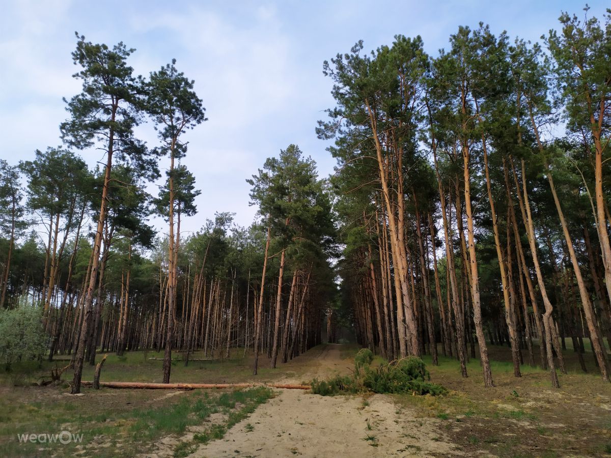 Fotografos Elena Chayka, Fotos do tempo em Vitovskyi raion - Weawow