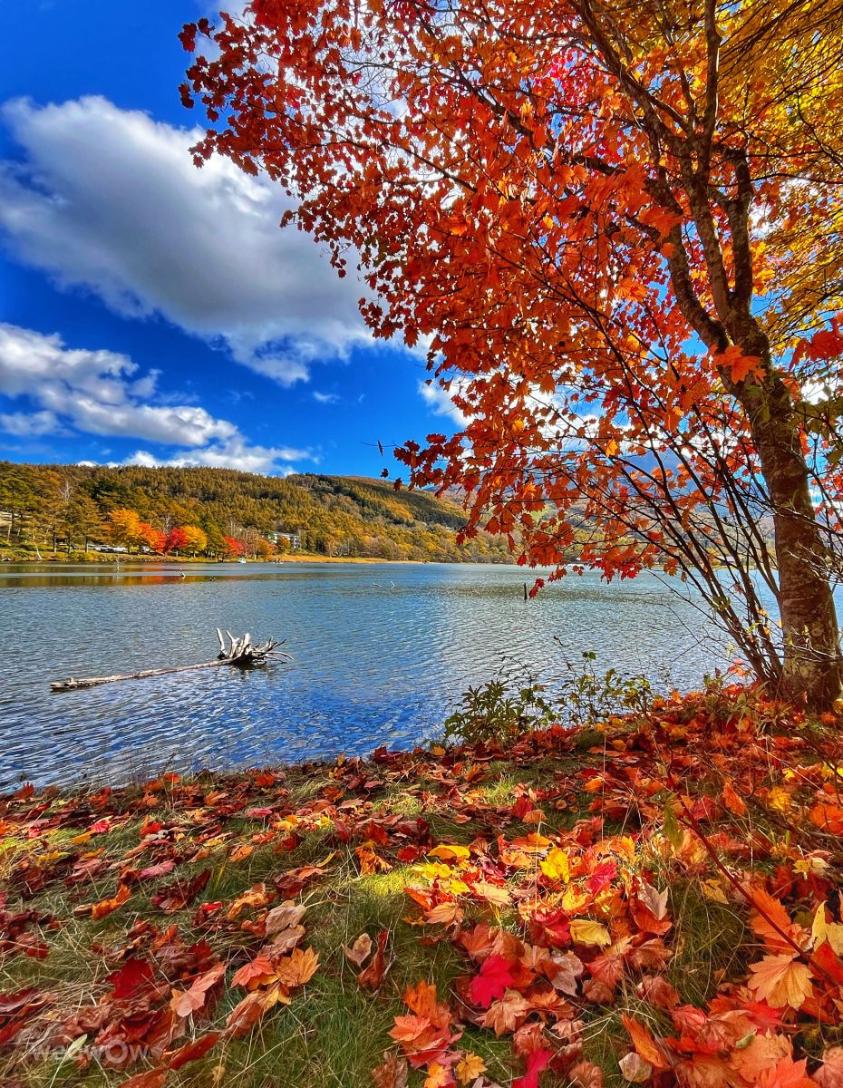 Photographer Kasumisou, Weather Photos in Megami Lake - Weawow
