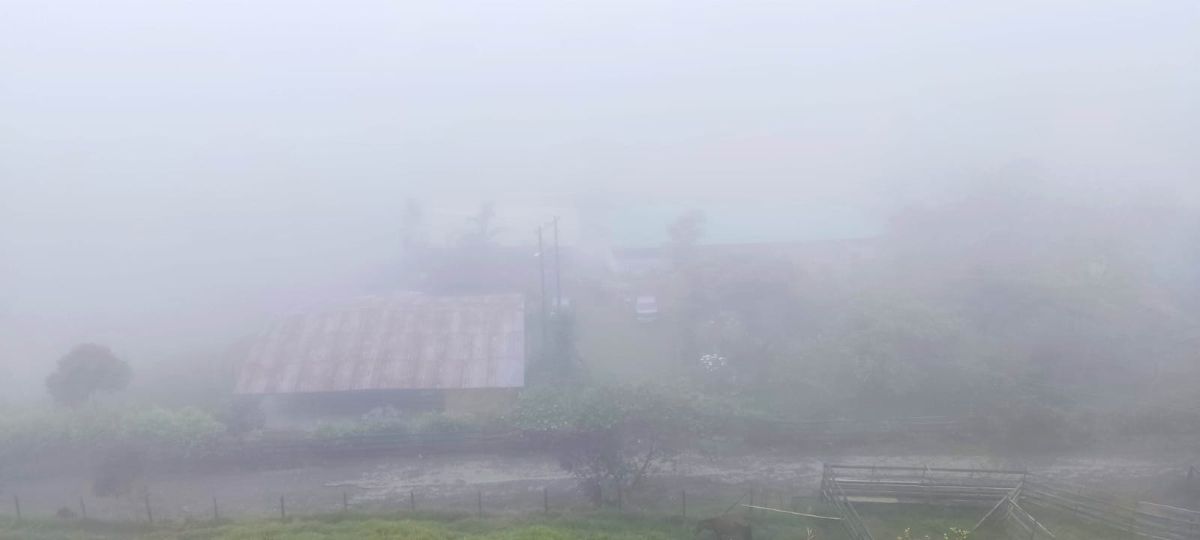 Departamento del Valle del Cauca的天气照片. 天气预报，带Patricia Andrea精美的照片