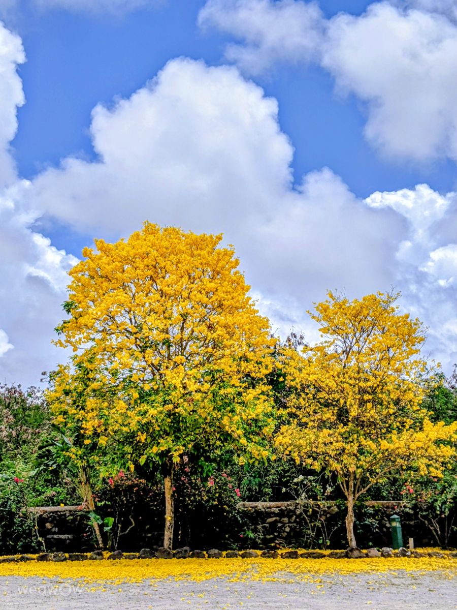 Weather forecasts with beautiful photos by rgo