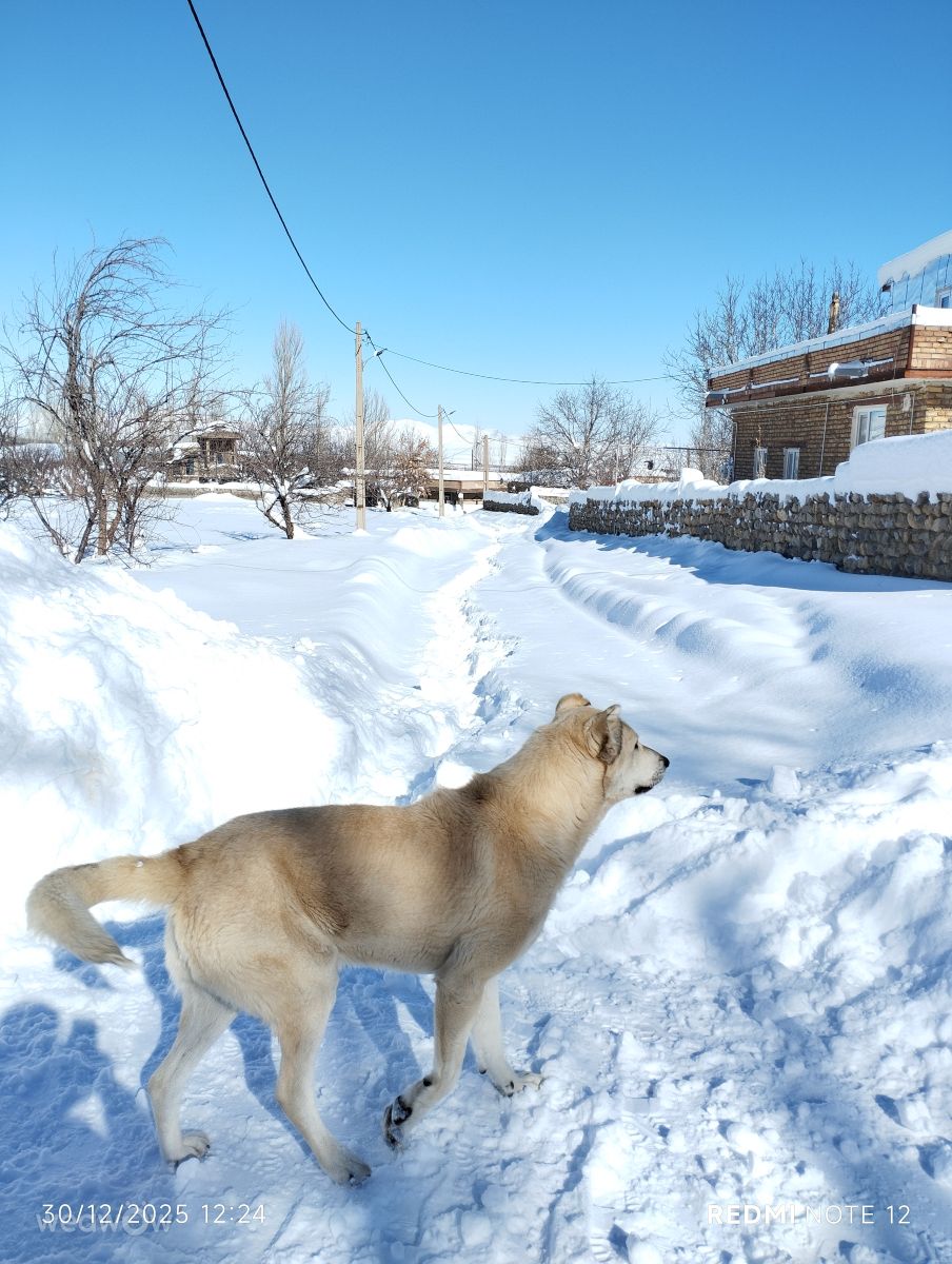 West Azerbaijanの天気写真. Tofan_khorshidiの美しい写真による天気予報