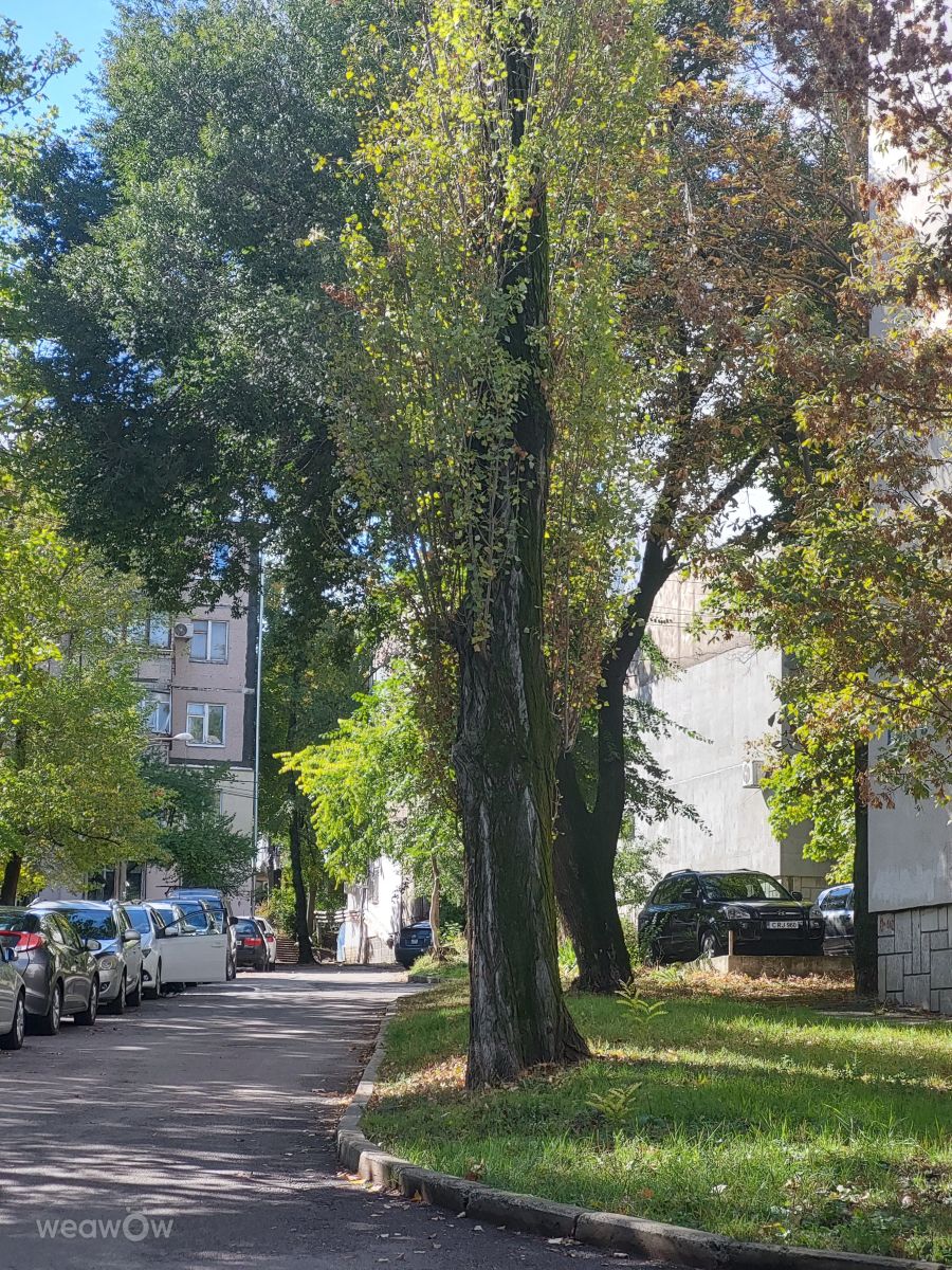 Fotos sobre el clima en Moldavia. Pronósticos del tiempo con hermosas fotos de InnaMoon