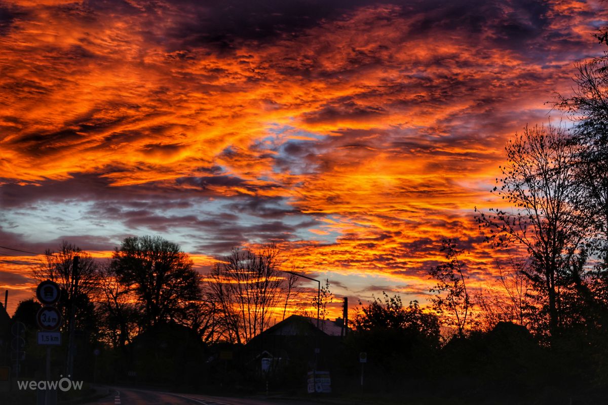 Photographer Lotti5507, Weather Photos in Rheinen - Weawow