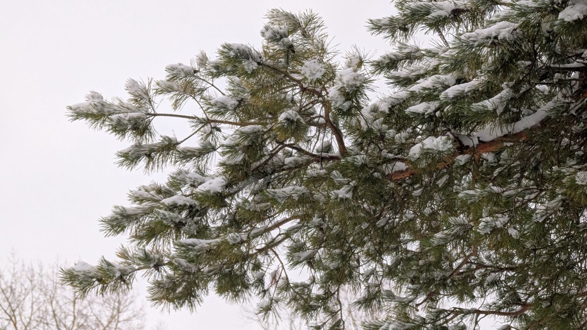 Фотографии Погоды в Сумы. Прогнозы погоды с чудесными фотографиями, сделанными демьян паламарчук