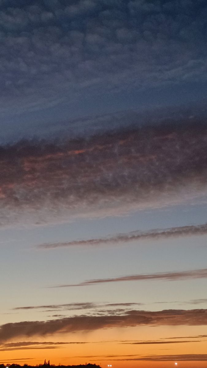 Photos météo à Kaliningrad Oblast. Prévisions météo avec de superbes photos de Михаил Бондаренко