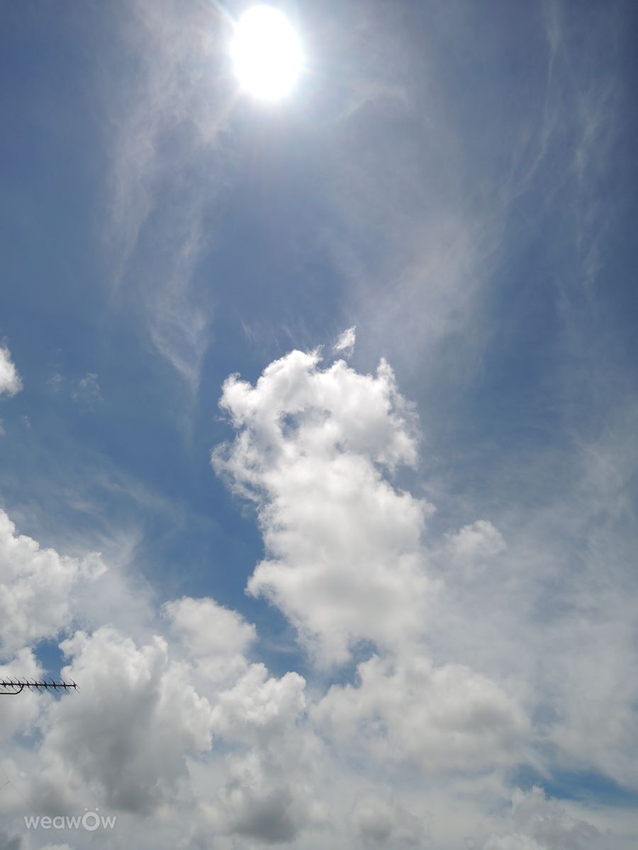 Weather Photos in Chiba. Weather forecasts with beautiful photos by yurumazi